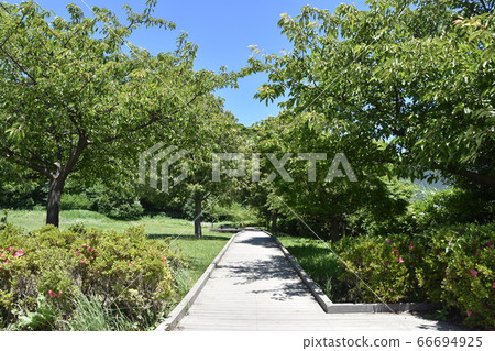 初夏藤澤彥吉水上樂園 66694925