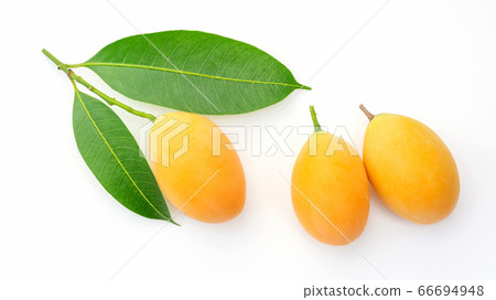 Yellow Marian plum fruit on a white background. 66694948