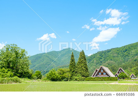 Early summer Shirakawa-go (daytime) Early summer Shirakawa-go (daytime) 66695086