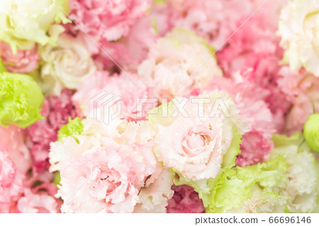 Turkish Kikyo Celebrity Princess 66696146