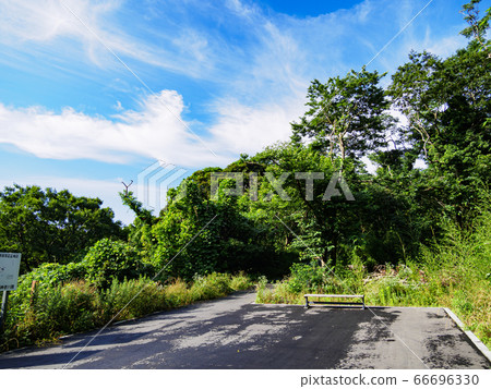 小ami郎森林（夏季） 66696330