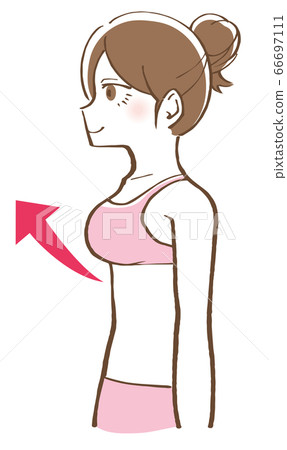 Bust-up female illustration Bust-up female illustration 66697111