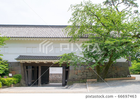 神奈川縣小田原城常磐門 神奈川縣小田原城常磐門 66697463