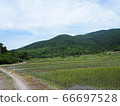 Rice field at the foot of Mt. Hoiso 66697528
