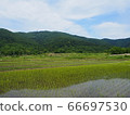 Rice field at the foot of Mt. Hoiso 66697530