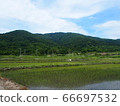 Rice field at the foot of Mt. Hoiso 66697532