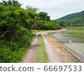 Rice field at the foot of Mt. Hoiso 66697533