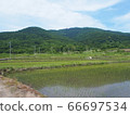 Rice field at the foot of Mt. Hoiso 66697534