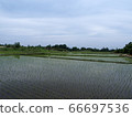 Rice field at the foot of Mt. Hoiso 66697536