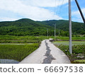 Rice field at the foot of Mt. Hoiso 66697538