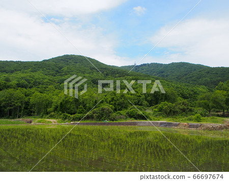 Rice field at the foot of Mt. Hoiso 66697674