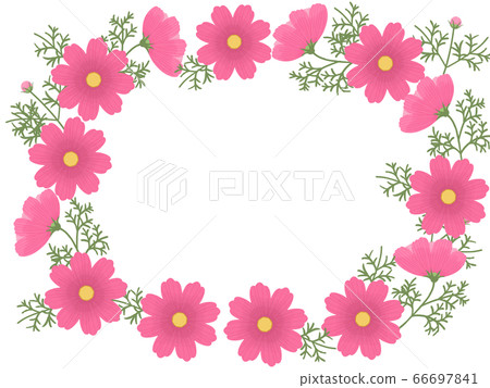 Cosmos frame Cosmos frame 66697841