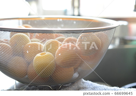 Ripe Ume Ume Umeshu Kishu Ume Ume Ripe Ume 66699645