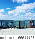 Bicycle seagull sea Noshap cape 66699923
