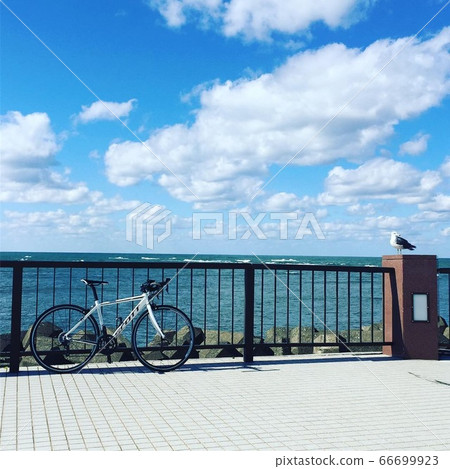 Bicycle seagull sea Noshap cape 66699923