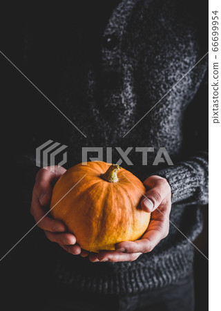 Man holding small pumpkin in hands Man holding small pumpkin in hands 66699954