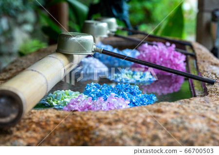 浮在水中的繡球2（花立水） 66700503