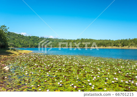 Tottori Sand Dunes Tadagaike Pond Early Summer Scenery Tottori Sand Dunes Tadagaike Pond Early Summer Scenery 66701215