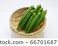 夏季蔬菜 夏季蔬菜 66701687