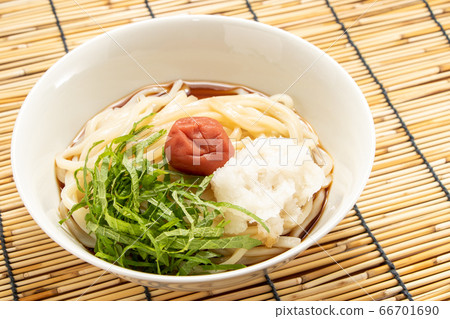 Ume grated bukkake udon (cold). Summer image with background blinds. 66701690