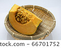夏季蔬菜南瓜 夏季蔬菜南瓜 66701752