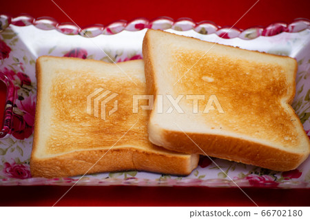 Toast Toast 66702180