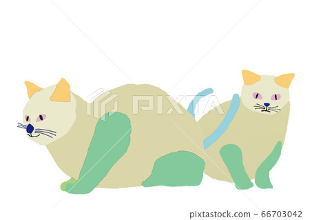 考慮如何玩耍的貓 考慮如何玩耍的貓 66703042