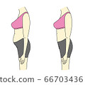 Diet tummy 66703436