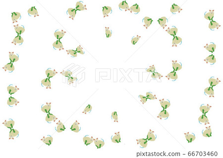 Kittens playing with dance Kittens playing with dance 66703460