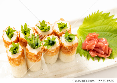 Chikuwa's large leaves stuffed with plum meat. (White background) Chikuwa's large leaves stuffed with plum meat. (White background) 66703680