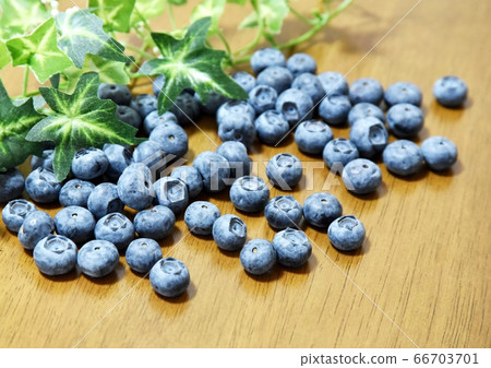blueberry blueberry 66703701