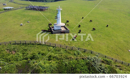 牧場和燈塔 牧場和燈塔 66703924