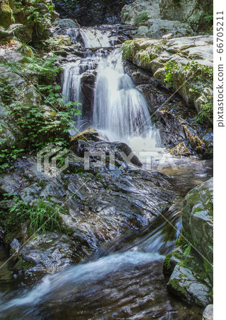 新鮮的綠色流 66705211