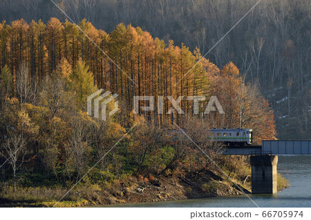 Nemuro Main Line that goes through the autumn leaves 66705974