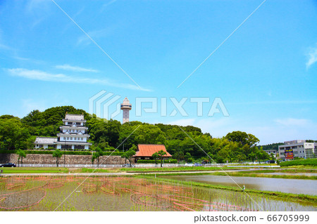 稻田傳播的尾張旭市的風景 66705999