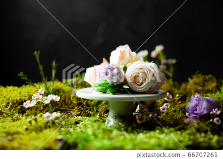 Roses on a white stand surrounded by green moss Roses on a white stand surrounded by green moss 66707261