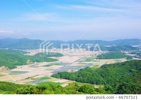 A vast field in Minamiawaji City, Hyogo Prefecture 66707321