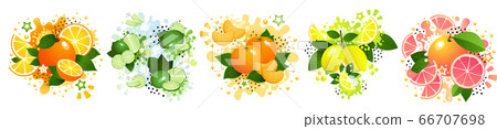 Set of citrus fruits, including orange, lime, tangerine, lemon and grapefruit. Bright vector style with splashes and stars Set of citrus fruits, including orange, lime, tangerine, lemon and grapefruit. Bright vector style with splashes and stars 66707698