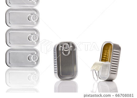 Sardine tin 66708081