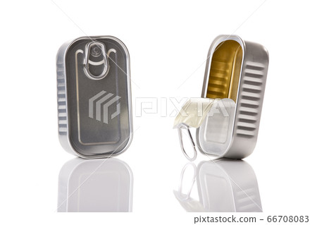 Sardine tin 66708083