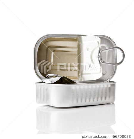 Sardine tin 66708088