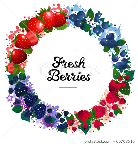 Fresh berries frame with blueberries,... - Stock Illustration [66708516 ...