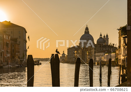 Venice, italy, sunset, silhouette, sunset, canal town, tourist attraction, historic town 66708621