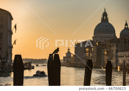 Venice, italy, sunset, silhouette, sunset, canal town, tourist attraction, historic town 66708623