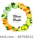 Citrus fruits frame including orange, lime, tangerine, lemon. Bright vector style with splashes and stars 66708632