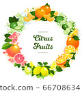 Citrus fruits frame including orange, lime, tangerine, lemon and grapefruit. Bright vector style with splashes and stars 66708634
