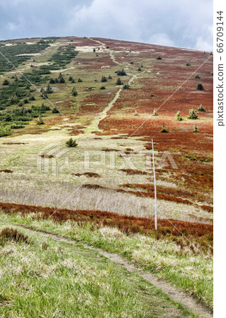 Stoh hill, Little Fatra, Slovakia, springtime Stoh hill, Little Fatra, Slovakia, springtime 66709144