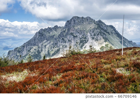 Big Rozsutec, Little Fatra, Slovakia, springtime 66709146