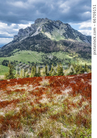Big Rozsutec, Little Fatra, Slovakia, springtime Big Rozsutec, Little Fatra, Slovakia, springtime 66709151