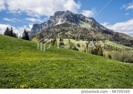 Big Rozsutec, Little Fatra, Slovakia, springtime Big Rozsutec, Little Fatra, Slovakia, springtime 66709160